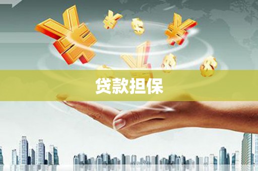 琼中贷款担保