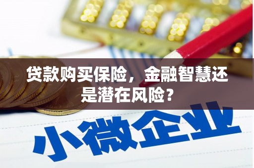琼中贷款购买保险，金融智慧还是潜在风险？