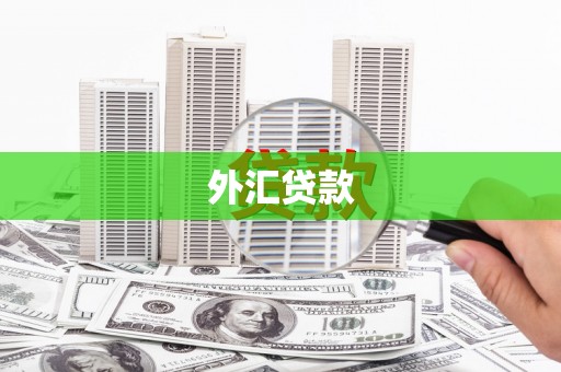 琼中外汇贷款
