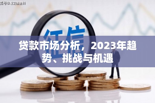 琼中贷款市场分析，2023年趋势、挑战与机遇