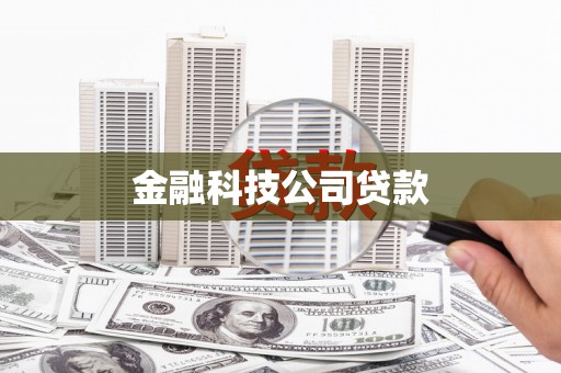 琼中金融科技公司贷款