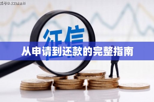 琼中从申请到还款的完整指南