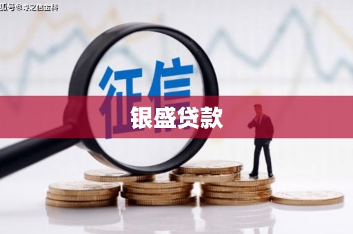 琼中银盛贷款