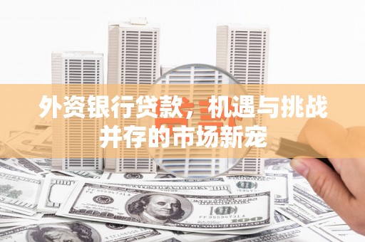 琼中外资银行贷款，机遇与挑战并存的市场新宠