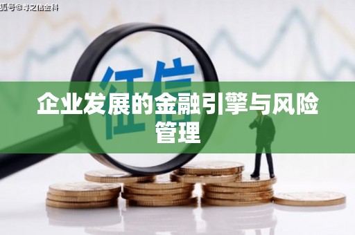 琼中企业发展的金融引擎与风险管理