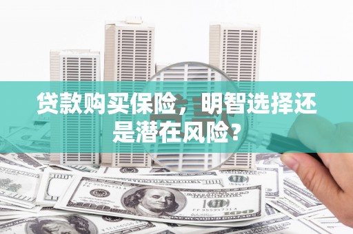 琼中贷款购买保险，明智选择还是潜在风险？