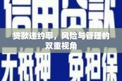 琼中贷款违约率，风险与管理的双重视角