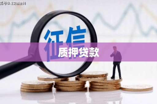 琼中质押贷款