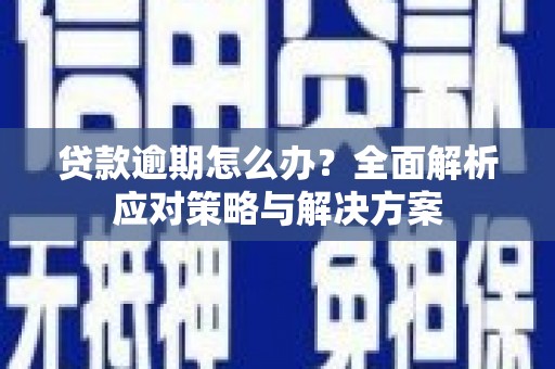 琼中贷款逾期怎么办？全面解析应对策略与解决方案