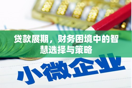 琼中贷款展期，财务困境中的智慧选择与策略