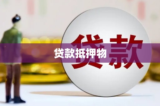 琼中贷款抵押物