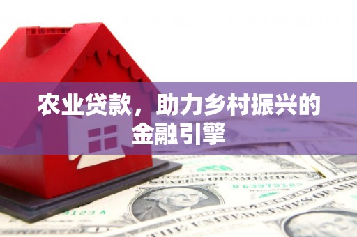 琼中农业贷款，助力乡村振兴的金融引擎
