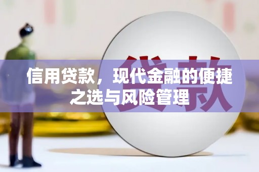 琼中信用贷款，现代金融的便捷之选与风险管理