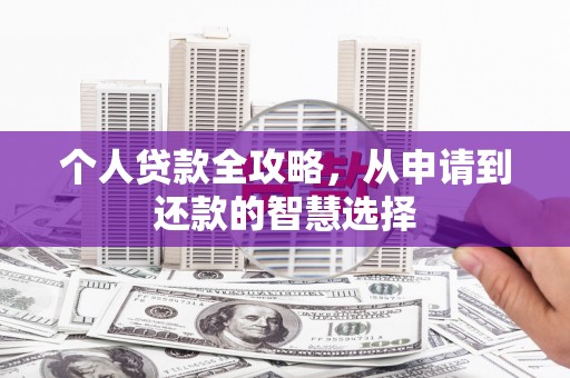 琼中个人贷款全攻略，从申请到还款的智慧选择