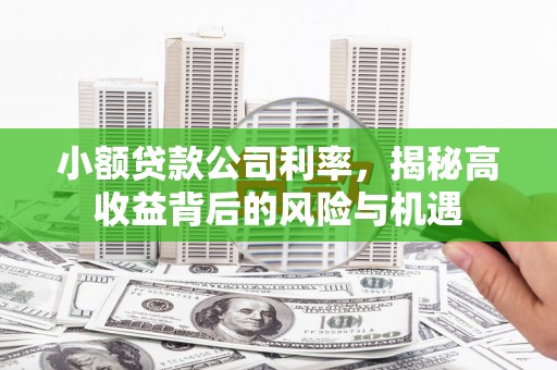 琼中小额贷款公司利率，揭秘高收益背后的风险与机遇