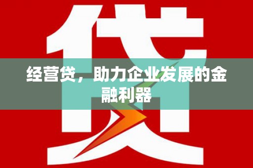 琼中经营贷，助力企业发展的金融利器