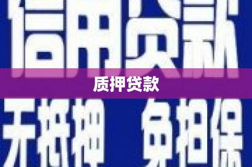 琼中质押贷款