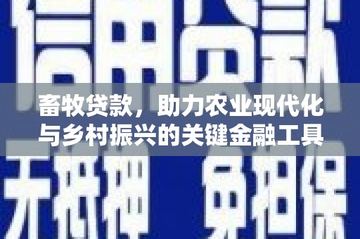 琼中畜牧贷款，助力农业现代化与乡村振兴的关键金融工具