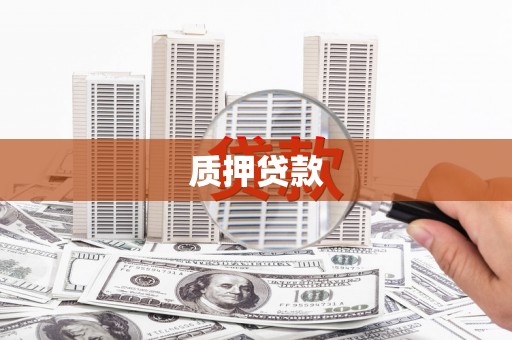 琼中质押贷款