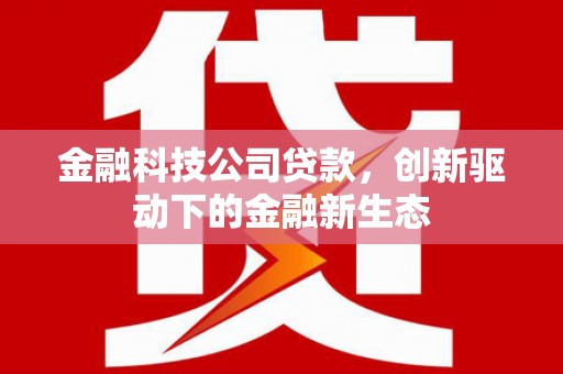 琼中金融科技公司贷款，创新驱动下的金融新生态