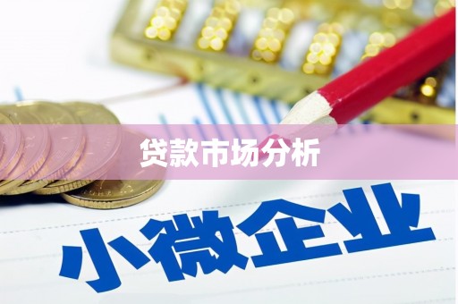 琼中贷款市场分析