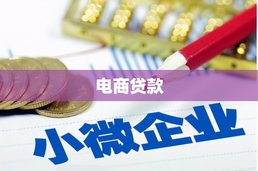 琼中电商贷款