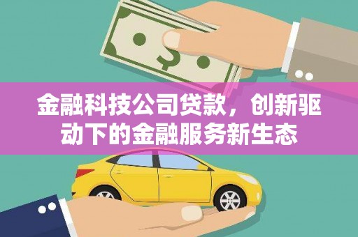 琼中金融科技公司贷款，创新驱动下的金融服务新生态