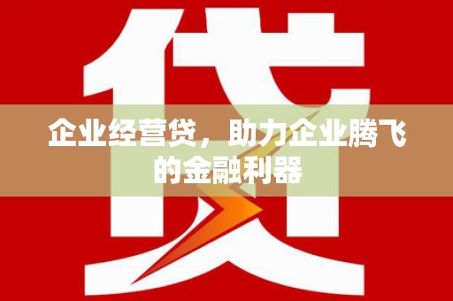 琼中企业经营贷，助力企业腾飞的金融利器