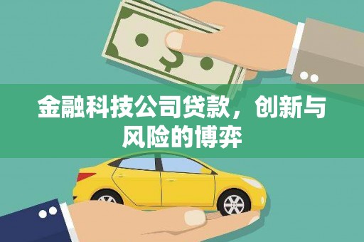 琼中金融科技公司贷款，创新与风险的博弈