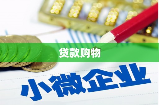 琼中贷款购物