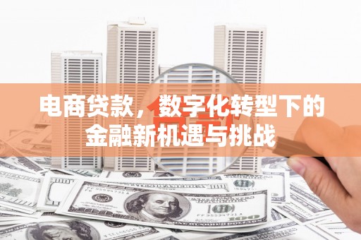 琼中电商贷款，数字化转型下的金融新机遇与挑战
