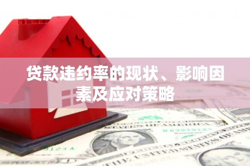 琼中贷款违约率的现状、影响因素及应对策略