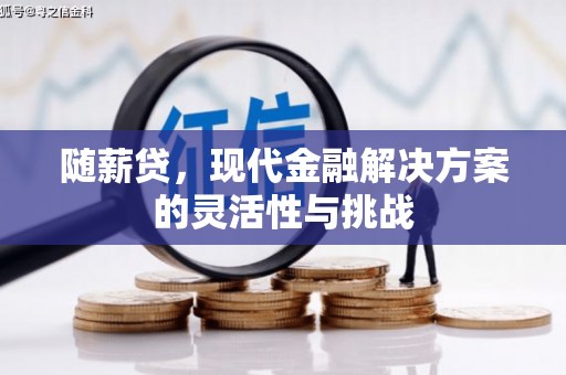 琼中随薪贷，现代金融解决方案的灵活性与挑战