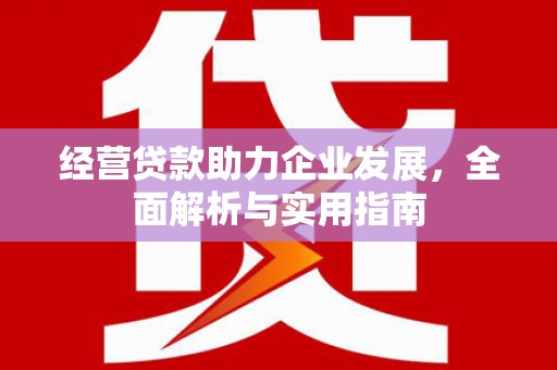 琼中经营贷款助力企业发展，全面解析与实用指南