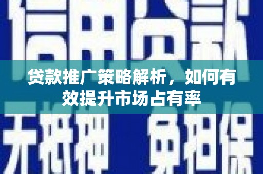 琼中贷款推广策略解析，如何有效提升市场占有率