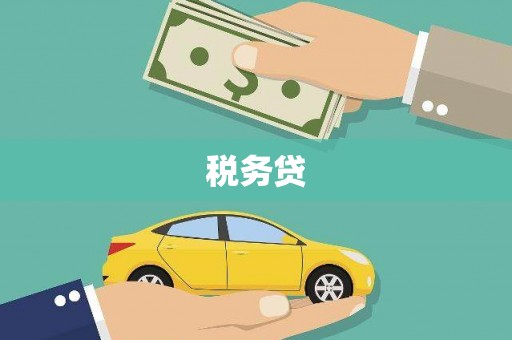琼中税务贷