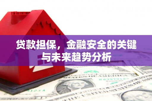 琼中贷款担保，金融安全的关键与未来趋势分析