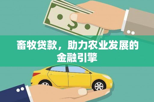 琼中畜牧贷款，助力农业发展的金融引擎