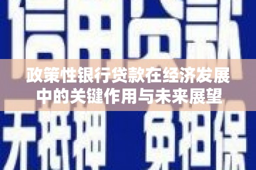 琼中政策性银行贷款在经济发展中的关键作用与未来展望