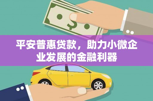 琼中平安普惠贷款，助力小微企业发展的金融利器