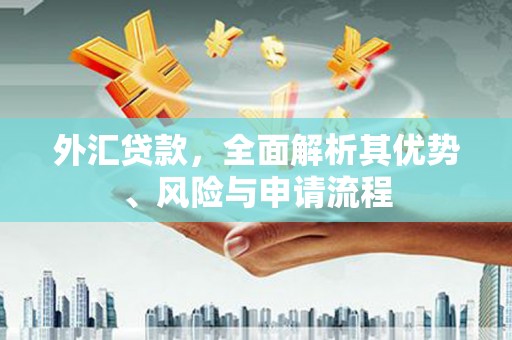 琼中外汇贷款，全面解析其优势、风险与申请流程