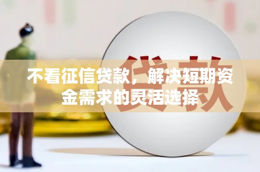 琼中不看征信贷款，解决短期资金需求的灵活选择