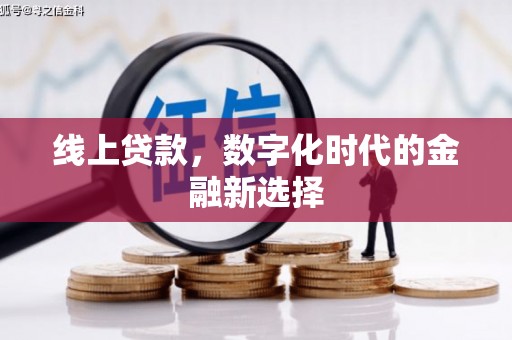 琼中线上贷款，数字化时代的金融新选择