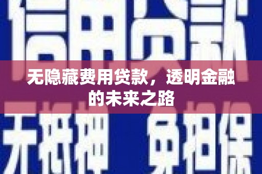 琼中无隐藏费用贷款，透明金融的未来之路