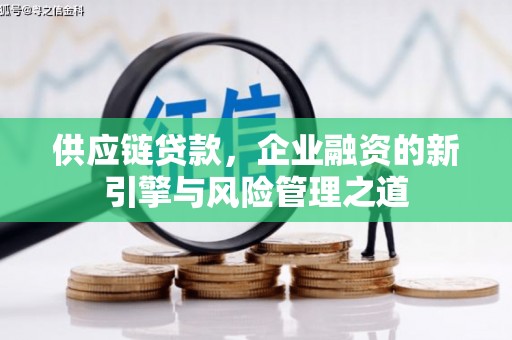 琼中供应链贷款，企业融资的新引擎与风险管理之道