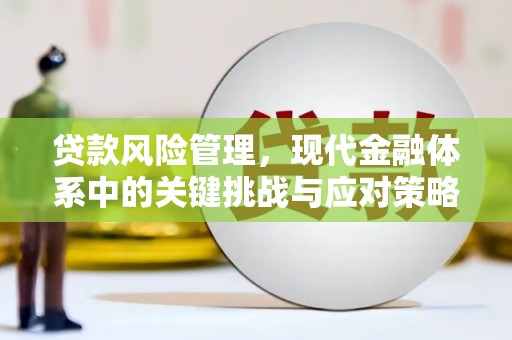 琼中贷款风险管理，现代金融体系中的关键挑战与应对策略