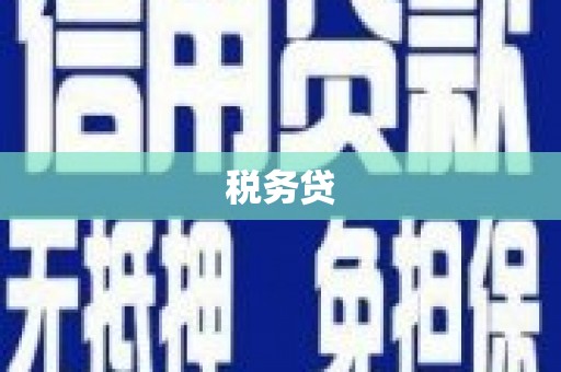 琼中税务贷