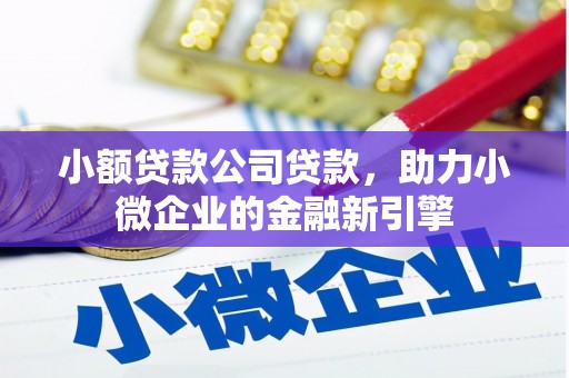 琼中小额贷款公司贷款，助力小微企业的金融新引擎
