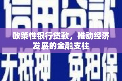 琼中政策性银行贷款，推动经济发展的金融支柱