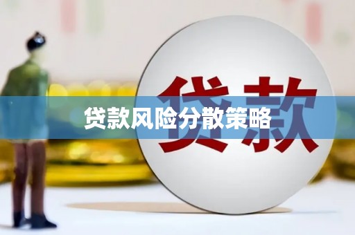 琼中贷款风险分散策略